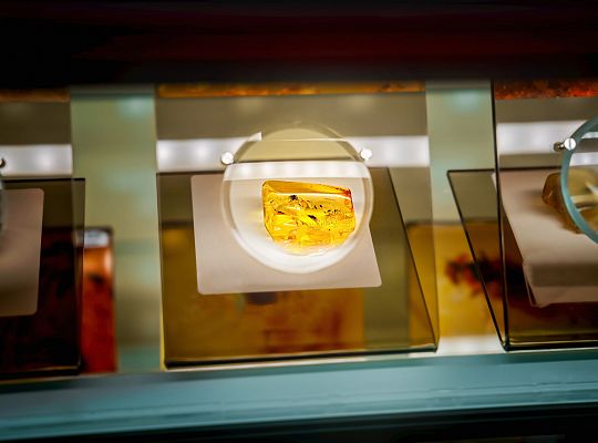Amber Museum